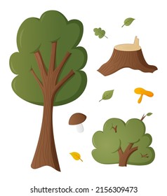 Arbusto de árbol y trozo. Conjunto de vectores de dibujos animados de elementos aislados