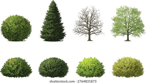 Tree and bush vector collection, realistic green plants, deciduous tree, pine tree and shrubs isolated set for landscape design, gardening, nature illustration