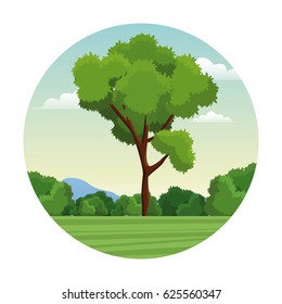 tree bushes forest landscape stamp