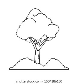 tree and bushes icon over white background, vector illustration