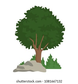 Tree with bushes and rocks