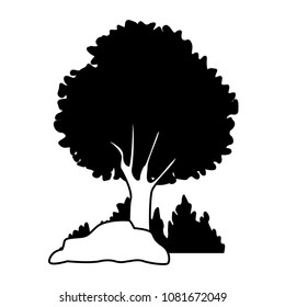 Tree with bushes and rocks on black and white