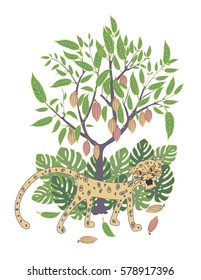 tree of cacao with ripe fruits and leopard