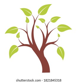 tree cartoon vector design. plant illustration