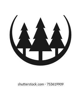 tree cedar christmas