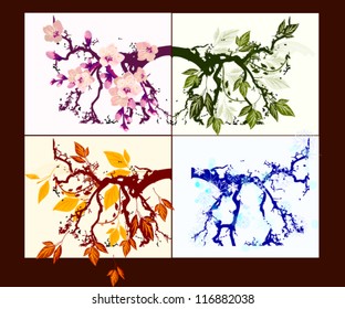 a tree changing with a season