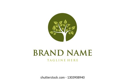 Tree Circle Nature Abstract Environment Leaves Business Ecology Logo