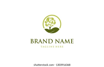 Tree Circle Nature Abstract Environment Leaves Business Ecology Logo