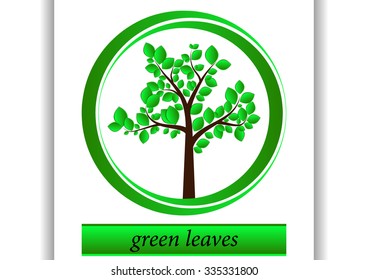 Tree in a circle on a white background with shadow and frame for text