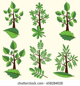 Tree Clip Art