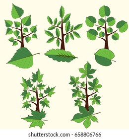 Tree Clip Art