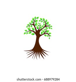 tree clip art/ icon with white background design vector