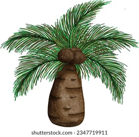 tree, coconut tree, tree at beach, tree at sea, coconut