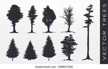 Tree collection, Forest silhouette, isolated on white, vector illustration.