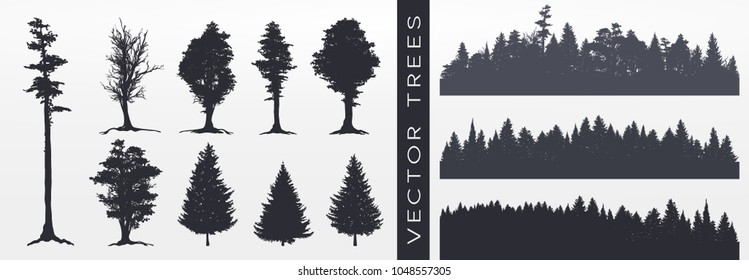 Tree collection, Forest silhouette, isolated on white, vector illustration. - Shutterstock ID 1048557305