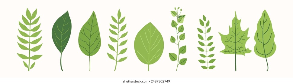 Colección de árbol dibujado a mano elemento de diseño plano. conjunto botánico de árboles desnudos y unos con hojas y exuberante color pastel limitado