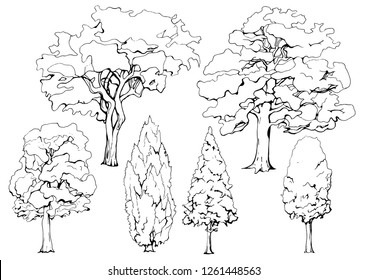 Tree collection illustration, drawing, engraving, ink, line art, outline vector, design.