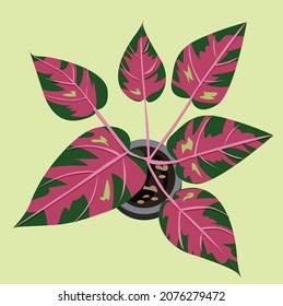 tree collection illustration Red and green leaves in a pot on a green background