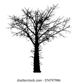 Tree collection vector