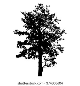 Tree collection vector