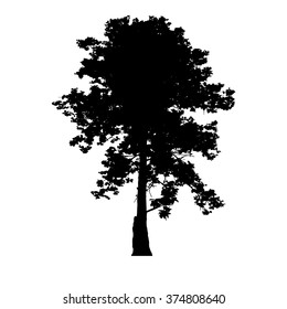 Tree collection vector