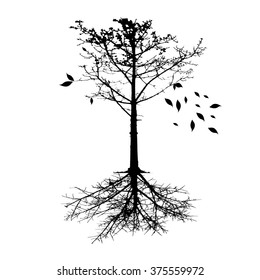 Tree collection vector