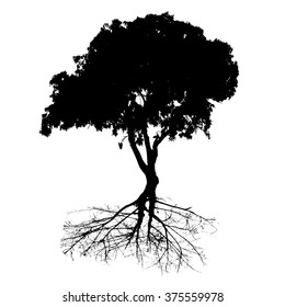Tree collection vector