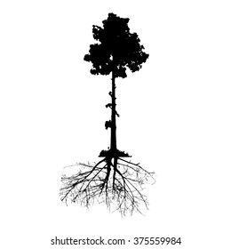 Tree collection vector