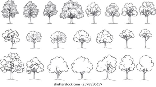 Tree Collection Vector Illustration, Isolated on White Background.