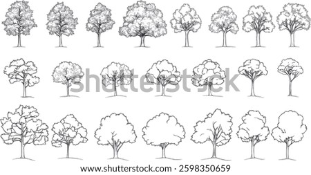 Tree Collection Vector Illustration, Isolated on White Background.