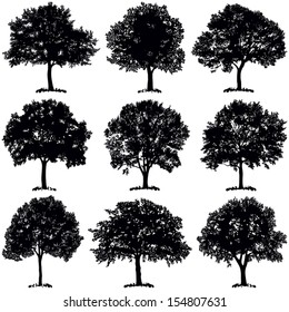 Tree collection - vector silhouette illustration 