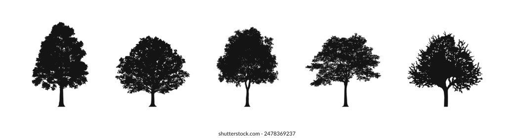 Tree collection. Tree vectors. Tree silhouettes