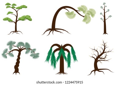 Tree Collection White Background