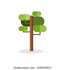 tree color flat icon for web and mobile design
