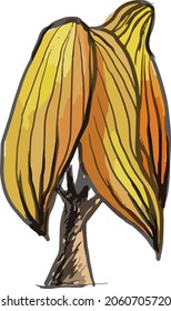 A tree in color on a white background.