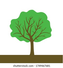 Tree Color Vector Illustration On White Stock Vector (Royalty Free ...