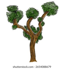tree colored hand drawn illustration for architecture asset of plant flora and wild life poster or banner lineart flat vector illustration isolated on white background