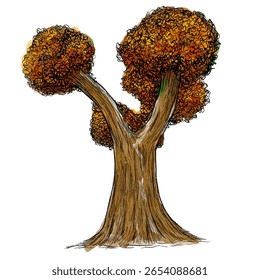 tree colored hand drawn illustration for architecture asset of plant flora and wild life poster or banner lineart flat vector illustration isolated on white background