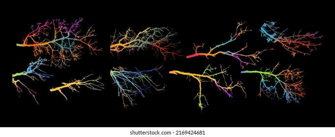 Tree colorful branches set. Vector illustration