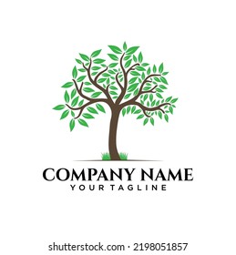 Vector de diseño de logotipo de empresa de árbol