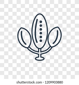 Tree concept vector linear icon isolated on transparent background, Tree concept transparency concept in outline style