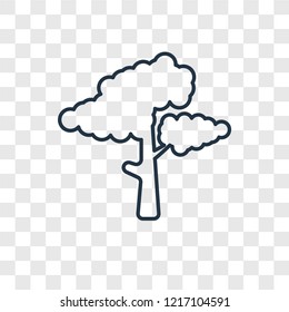 Tree concept vector linear icon isolated on transparent background, Tree concept transparency concept in outline style