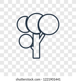Tree concept vector linear icon isolated on transparent background, Tree concept transparency concept in outline style