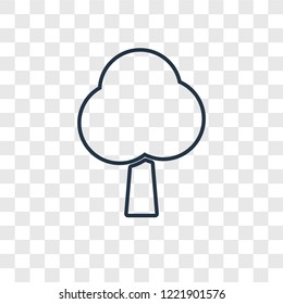Tree concept vector linear icon isolated on transparent background, Tree concept transparency concept in outline style