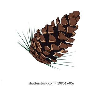 Tree cone
