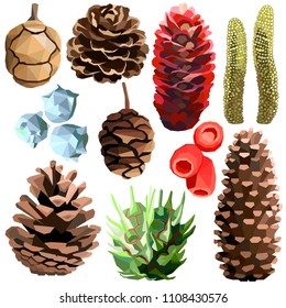 Tree cone set colorful low poly designs isolated on white background. Vector autumn botanical illustration. Collection of cones in a modern style.