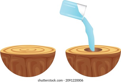 física de la ciencia del tazón de agua en un contenedor de árboles