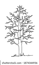 Tree. Continuous line art drawing vector illustration