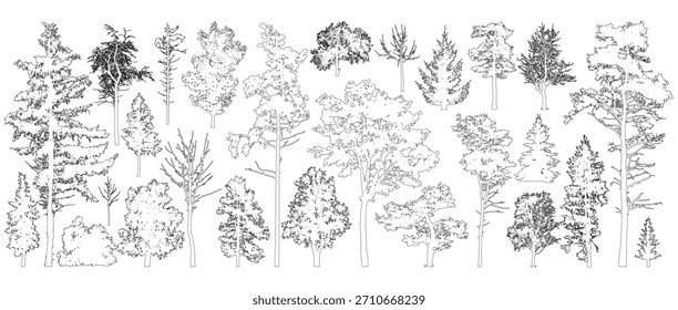 Tree contours. Isolated forest trees on white background. Vector illustration