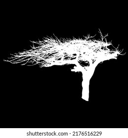 Tree Creepy Wood Forest Natural Fantasy Mystical Isolated Landscape Atmospheric Mood Fairytale Vector